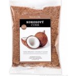Health Link Bio kokosový cukr 100 g – Zboží Dáma