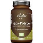 Hifas da Terra Mico-Polypor 70 kapslí Bio – Hledejceny.cz