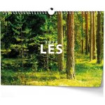 nástěnný Les 45cm x 32cm BNK22-27 2027 – Sleviste.cz