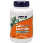 Now Calcium Lactate Vápník laktát vápenatý 250 tablet – Hledejceny.cz