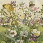 Skona Ting Papírový ubrousek Meadow Butterfly – Hledejceny.cz