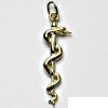 Přívěsky Čištín Zlatý přívěsek lékařský znak, Aeskulapova hůl P 196