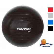 TUNTURI GymBall s pumpičkou 65 cm