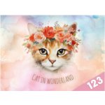 DESKY NA ČÍSLICE KOČKA – Zboží Dáma