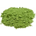 Salvia Paradise Mladá zelená pšenice Bio 200 g – Hledejceny.cz