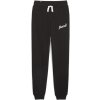 Dámské tepláky Puma ESS+ Script Pants TR Dámské tepláky 679350-01