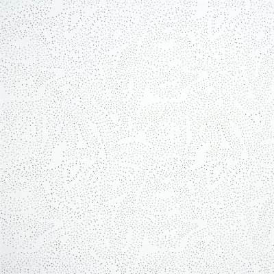 OWA premium Sternbild stropní kazety 600x600x15mm, hr.6 – Hledejceny.cz