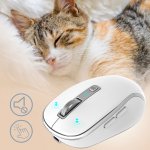 Yenkee Noble YMS 2085WE – Sleviste.cz