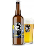 Nachmelená Opice 12 SUN APA 5,2% 0,75 l (sklo) – Zboží Dáma