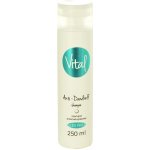 Stapiz Vital Anti-Dandruff Shampoo na mastné vlasy 250 ml – Zbozi.Blesk.cz