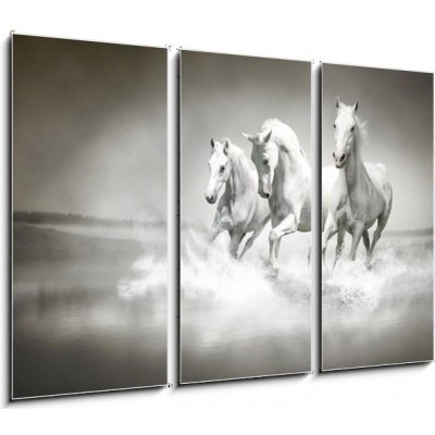 Obraz 3D třídílný - 105 x 70 cm - Herd of white horses running through water Stádo bílých koní protéká vodou – Zboží Mobilmania
