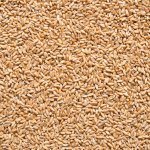 Country Life Pšenice špalda Bio 5kg – Zboží Dáma