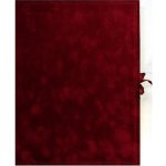 Fotoalbum samolepicí 50stran FS-50 SEMIŠOVÉ vínové 20672 – Hledejceny.cz