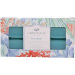 Greenleaf Vonný vosk Seaspray 73 g – Hledejceny.cz