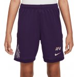 Nike Kylian Mbappé Academy Junior – Hledejceny.cz