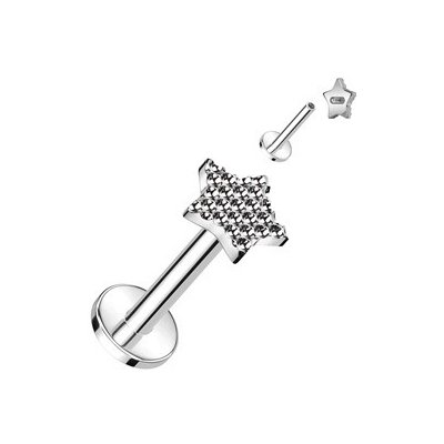 Šperky4U piercing do brady labreta titan TIT1296-1206 – Zbozi.Blesk.cz