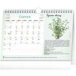 Měsíční plánovací se semínky stolní 2026 – Zboží Dáma