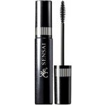 Kanebo 38C řasenka M 1 Black 6 ml – Sleviste.cz