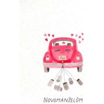 Albi Svatební přání - Auto s plechovkami – Zboží Mobilmania