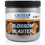 Grotek Blossom Blaster 20 g – Hledejceny.cz