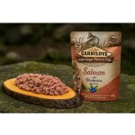 Carnilove Puppy Paté Salmon with Blueberries 300 g – Zboží Mobilmania