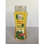 BC Bione Cosmetics vlasový šampon Bříza 255 ml – Hledejceny.cz