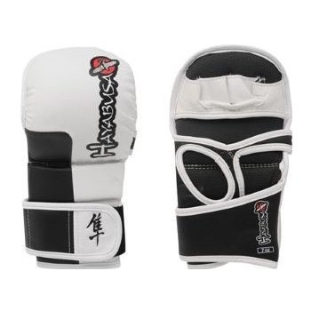 Hayabusa Tokushu Hybrid