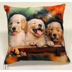 Dadka polštář Dva béžovohnědí psi 40x40 – Zbozi.Blesk.cz