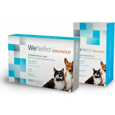 WeNefro Advanced podpora ledvin 30 tbl – Hledejceny.cz