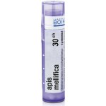 APIS MELLIFICA POR 30CH GRA 1X4G – Hledejceny.cz