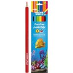 Ocean World RM_47003265 6 ks – Sleviste.cz