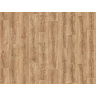 IVC Belgium Greenline New 2021 Rioja 532 2 m 1 m² – Sleviste.cz