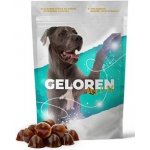 Geloren Dog L-XL 420g – Zbozi.Blesk.cz