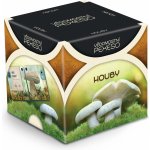 Albi Vědomostní pexeso Houby – Zboží Živě