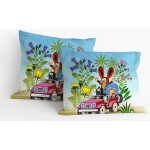 Matějovský Krtek v autě 40 x 40 cm – Sleviste.cz