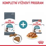 Royal Canin Hairball Care 85 g – Zboží Mobilmania