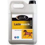 Horse Master Lactomuscle 5 l – Hledejceny.cz