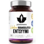 Puhdistamo Super Digestive Enzymes 30 kapslí – Hledejceny.cz