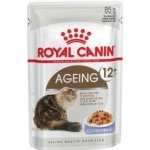 Royal Canin Feline Ageing 12 + Jelly 12 x 85 g – Hledejceny.cz