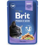 Brit Premium Cat Cod Fish 100 g – Zbozi.Blesk.cz