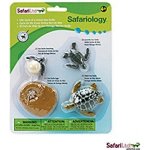 Safari Životní cyklus Mořská želva – Zboží Dáma