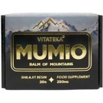 Vitateka Čistené Mumio 250 mg 20 g – Hledejceny.cz