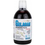 Orling Chondrocan Forte Biosol 500 ml – Hledejceny.cz
