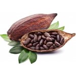 Health link Raw Bio Nepražené kakaové boby 250 g