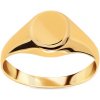 Prsteny iZlato Forever zlatý pánský pečetní prsten IZ22447