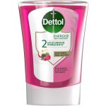 Dettol 250ml lesní plody – Zbozi.Blesk.cz