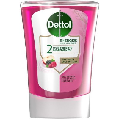 Dettol 250ml lesní plody – Zbozi.Blesk.cz