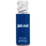 Roberto Cavalli Just Cavalli Vibrant Aqua 250 ml – Hledejceny.cz
