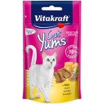 Vitakraft Cat Yums Sýr 40 g – Hledejceny.cz