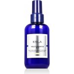 Esla Italy Frizz Dominator Mist 150 ml – Hledejceny.cz